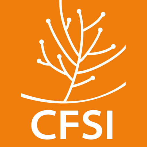 Comité Français pour la Solidarité Internationale CFSI