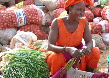 Du nouveau pour le maraîchage au Sénégal