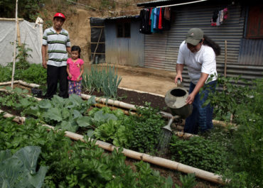 Des paniers paysans du Salvador au jardin solidaire de Montauban