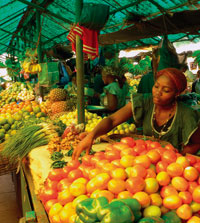 Mozambique : développer l’agriculture pour nourrir les villes