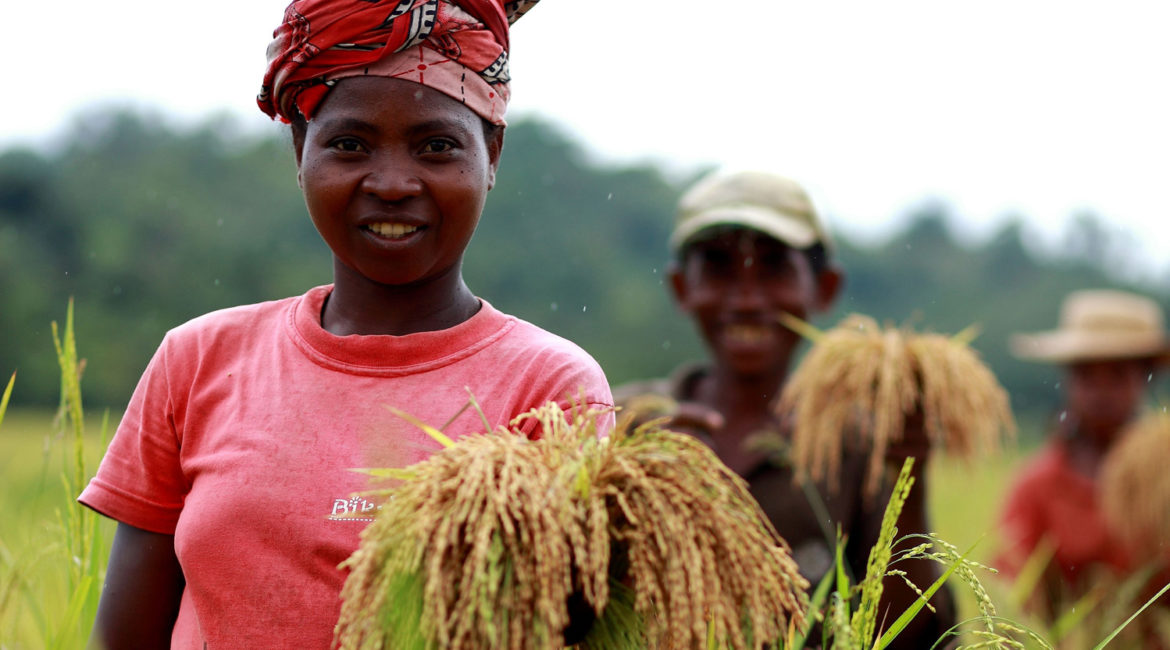 Agriculture familiale : le défi