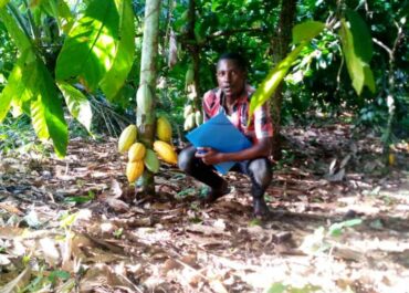 Au Congo Brazzaville : soutenir les producteurs de cacao