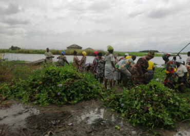 Ramassage de compost de jacinthe d'eau Bénin - Aced 2021