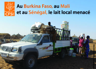 visuel-reportage-le-lait-local-menacé-en-Afrique-de-l'ouest