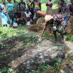 Togo : face au changement climatique, une agriculture durable est possible !
