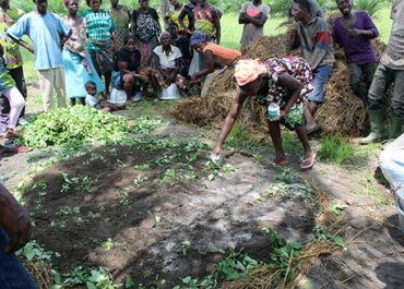 ETD-esop-activites-agricoles