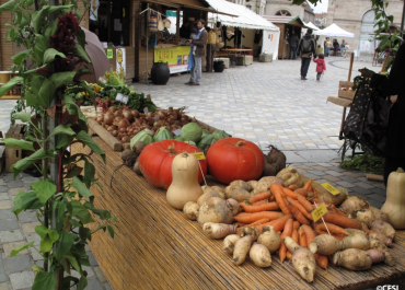 Le CFSI s'engage pour le droit à l'alimentation : une mobilisation essentielle