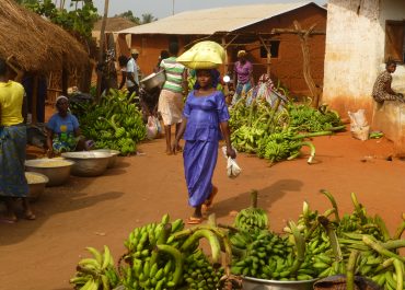 9 nouveaux projets pour renforcer le consommer local en Afrique de l’Ouest : les lauréats Pafao 2025