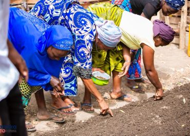 Au Bénin, Huilerie Royale Ted change d'échelle pour valoriser les productions locales